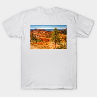 Bryce Canyon National Park T-Shirt